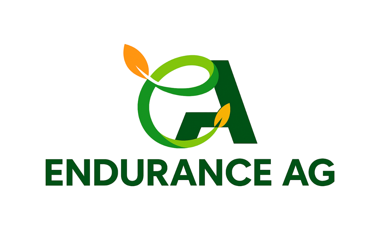 Endurance logo